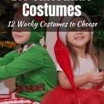 DIY Christmas Costumes