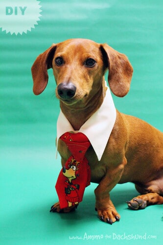 grinch dog costume for humans