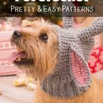 pet crochet