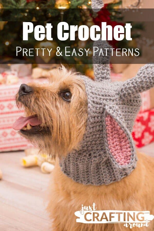 15 Crochet Pet Patterns