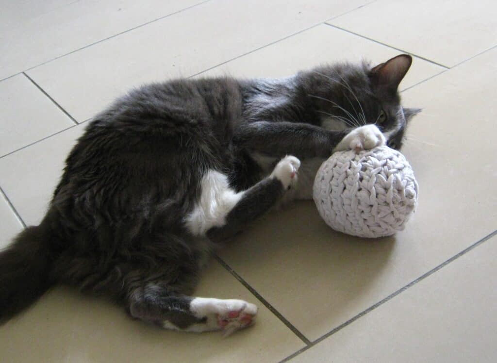crocheted cats ball