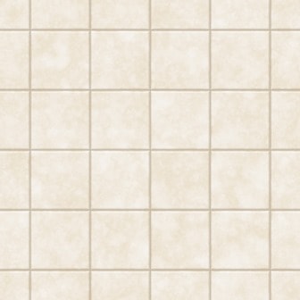 tile in the bathroom