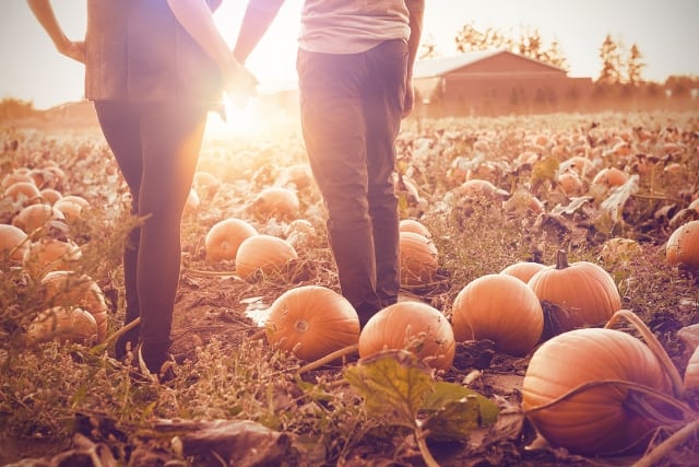 Couple at the pumpkin patch