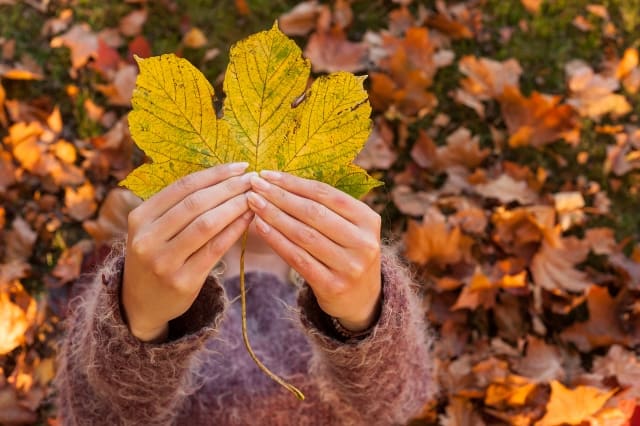 Woman holding up autumn leaf