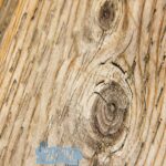 pressure treated wood 1
