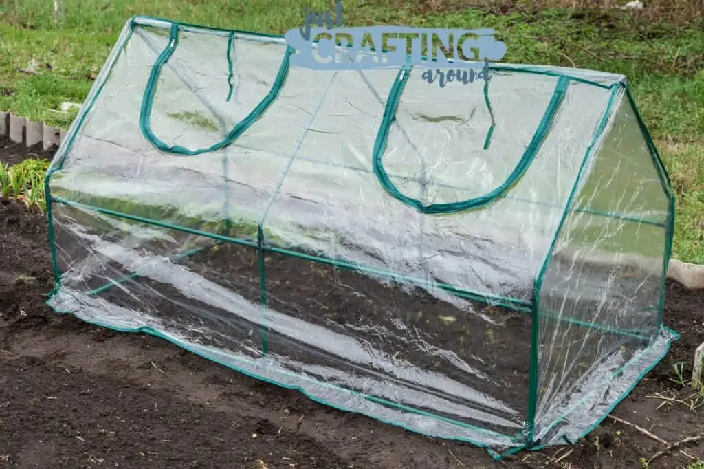 How to Build a Cheap DIY Greenhouse: Ideas, Tips and Tricks 5 mini greenhouse