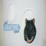 plastic bin hamster cage