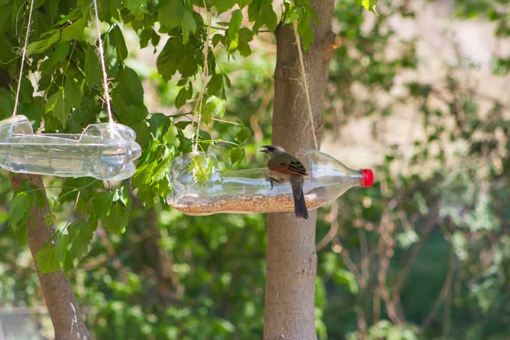 (DIY) How to Make Bird Feeders with Household Items 10 Feeders for birds made with plastic bottles