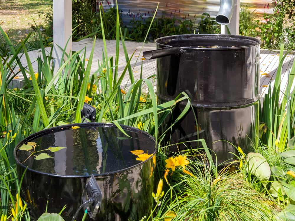 System for collecting rainwater