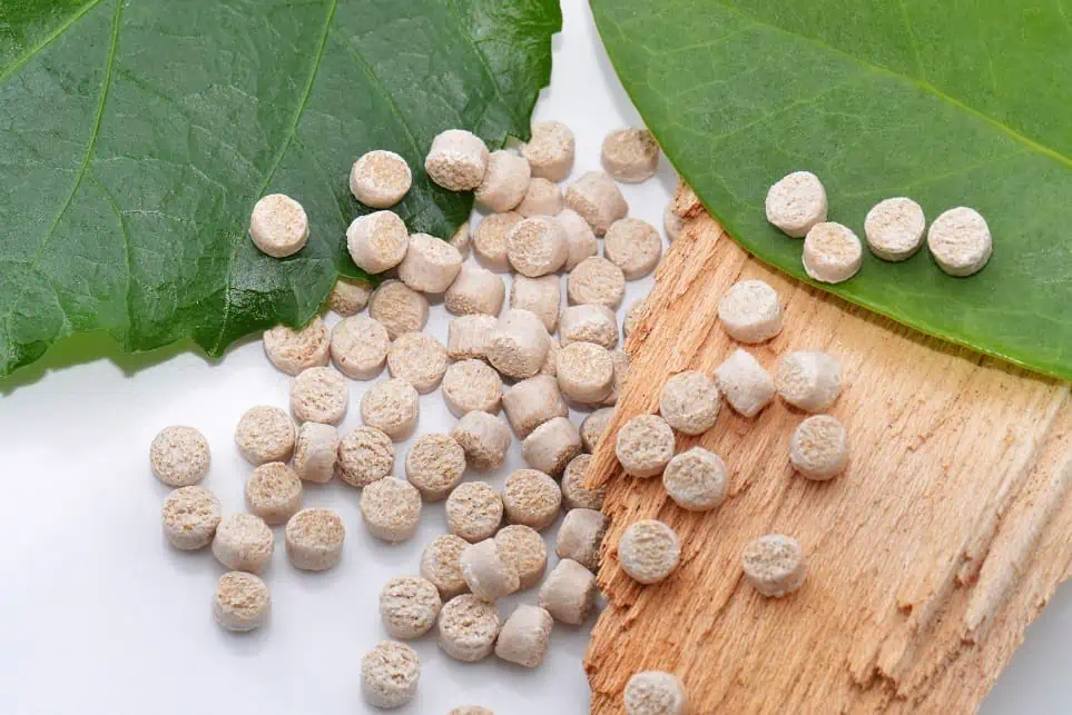 List of Sustainable Materials: An In-Depth Exploration 19 Biopolymer with leaves and wood