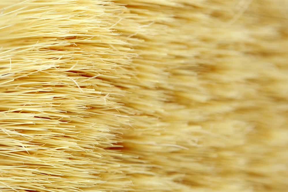 The Art of the Brush: An In-Depth Look at the Different Types of Painting Brushes 1 Brush Bristles