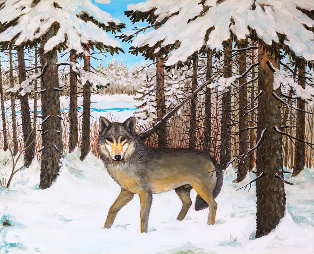 Oil painting - wolf in the pine forest