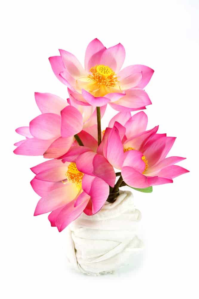 Types of Flower Arranging Techniques 6 Oriental lotus Flower Arrangements