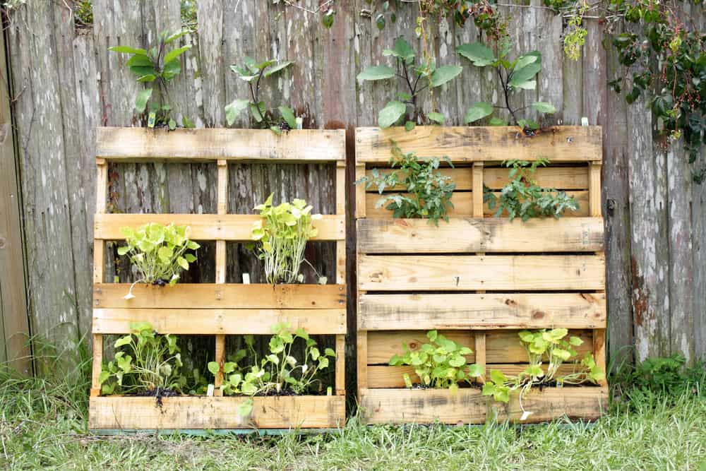 30 DIY Vertical Pallet Garden Ideas: Transform Your Space with Greenery and Creativity 1 Pallet Vegetable Garden