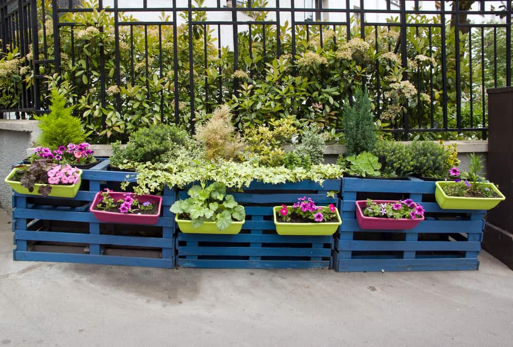 30 DIY Vertical Pallet Garden Ideas: Transform Your Space with Greenery and Creativity 8 https://youtu.be/eOUmwnWN01Y