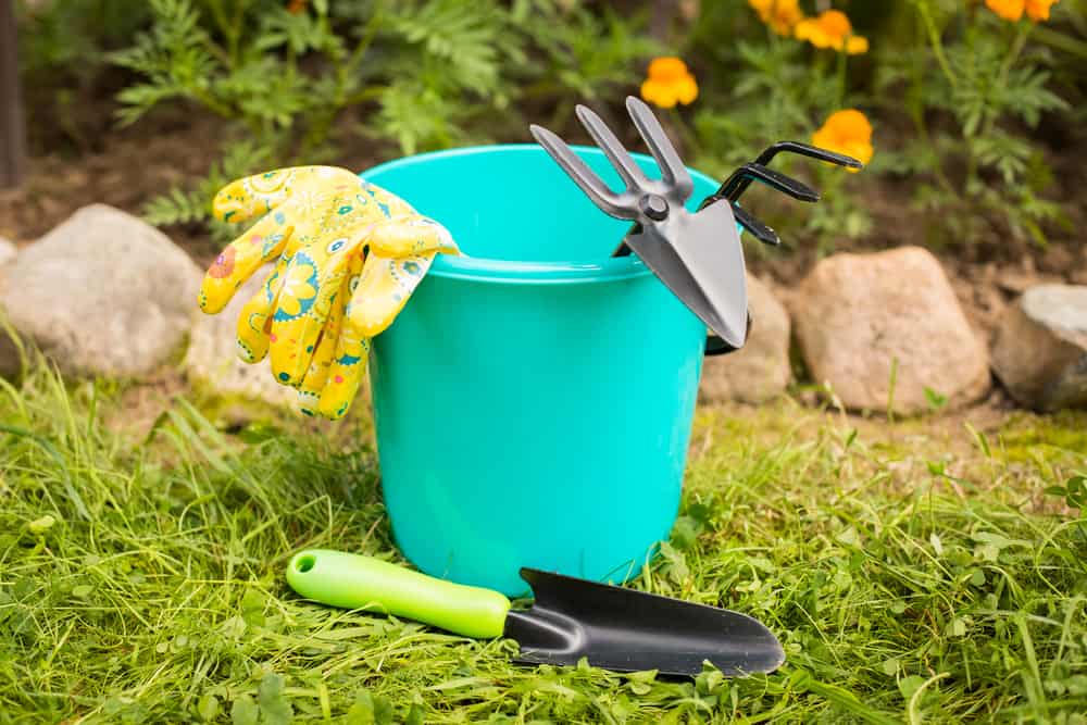 garden tools in bucket