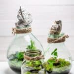 terrarium in a jar