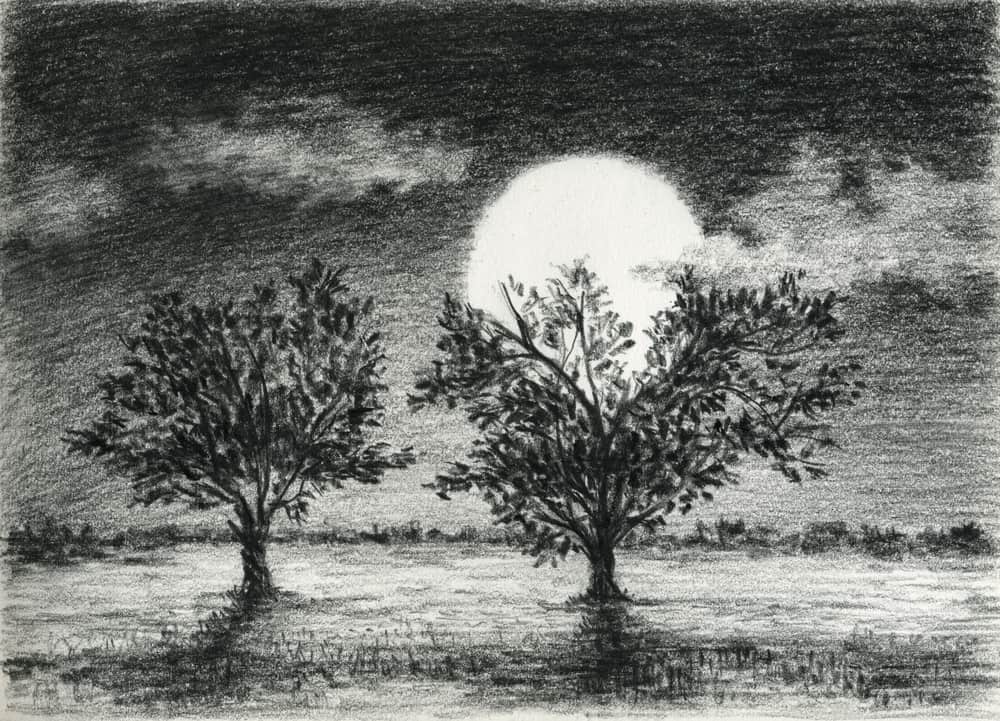 two trees are lit by moonlight, charcoal drawing